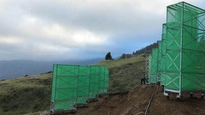 How Ancient 'Fog Harvesting' Techniques Are Reviving Arid Landscapes