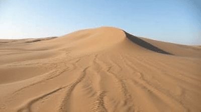 Sand Dune Stabilization: How Plants and Technology Prevent Encroaching Deserts