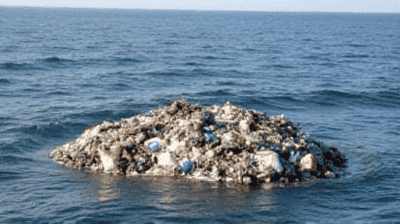 The Great Pacific Garbage Patch: Can Cleanup Efforts Make a Difference?